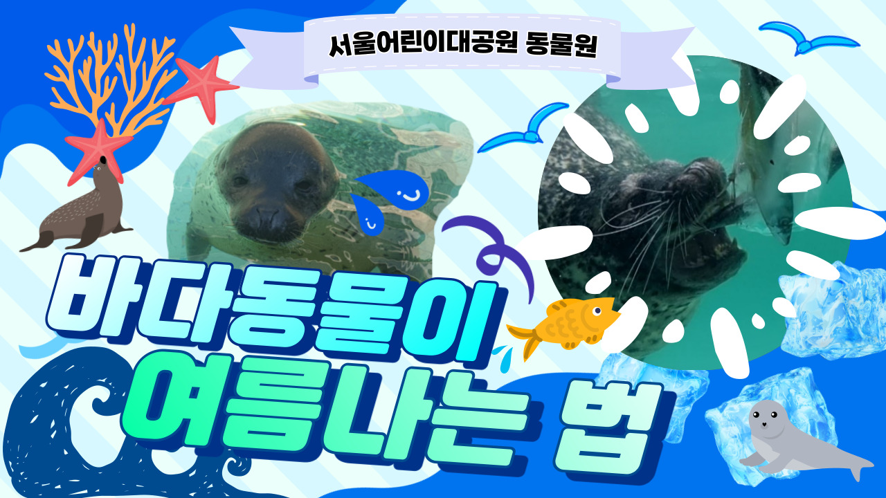 [오늘의 ZOO] 8월 바다동물관(여름맞이 3탄) 사진