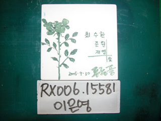 이은영(RX006) 사진