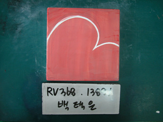 백택은(RV368) 사진