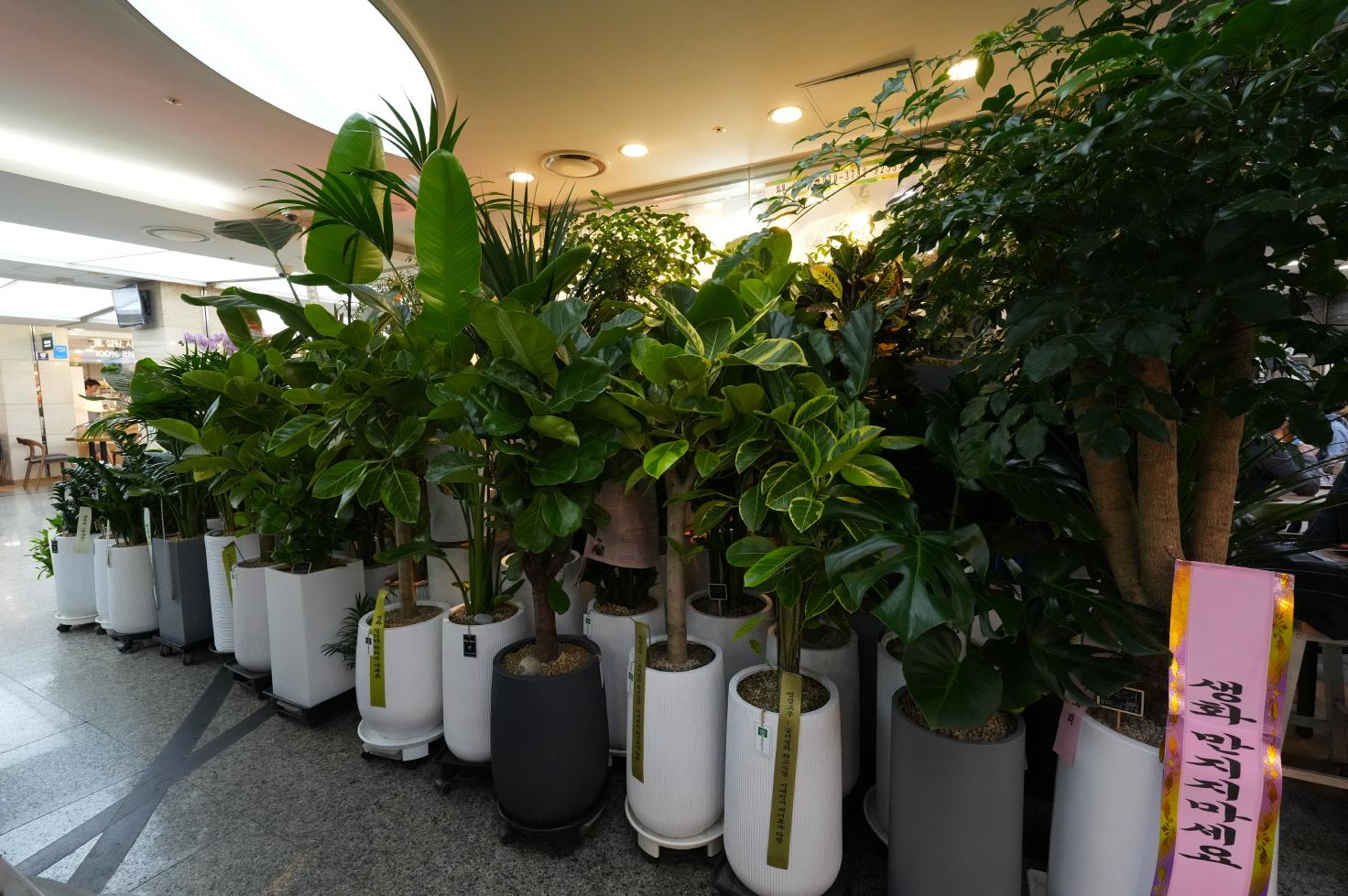 썬플라워 내부1