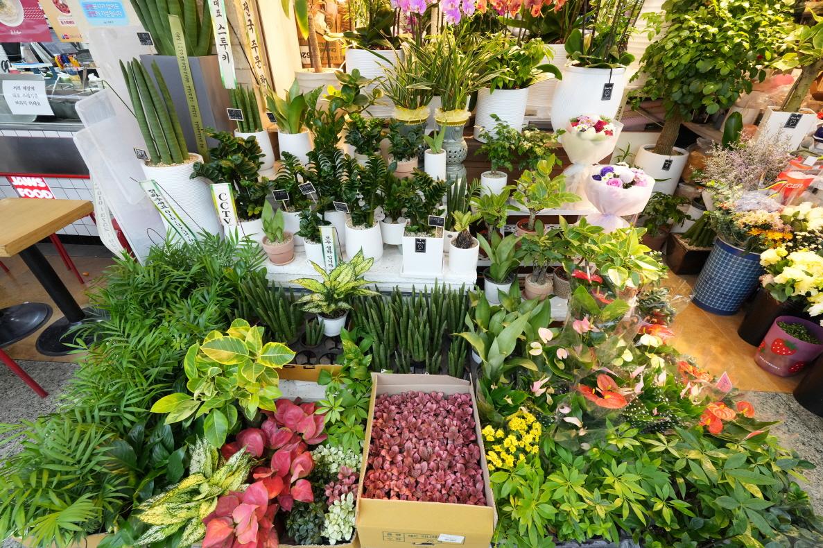 썬플라워 내부2