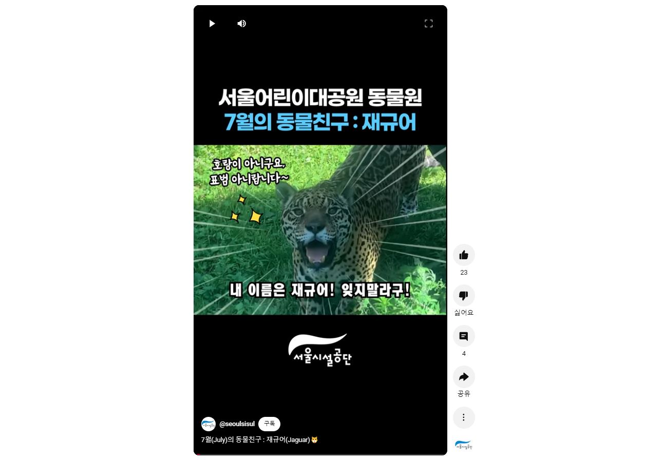 7월의 동물친구 : 재규어 사진