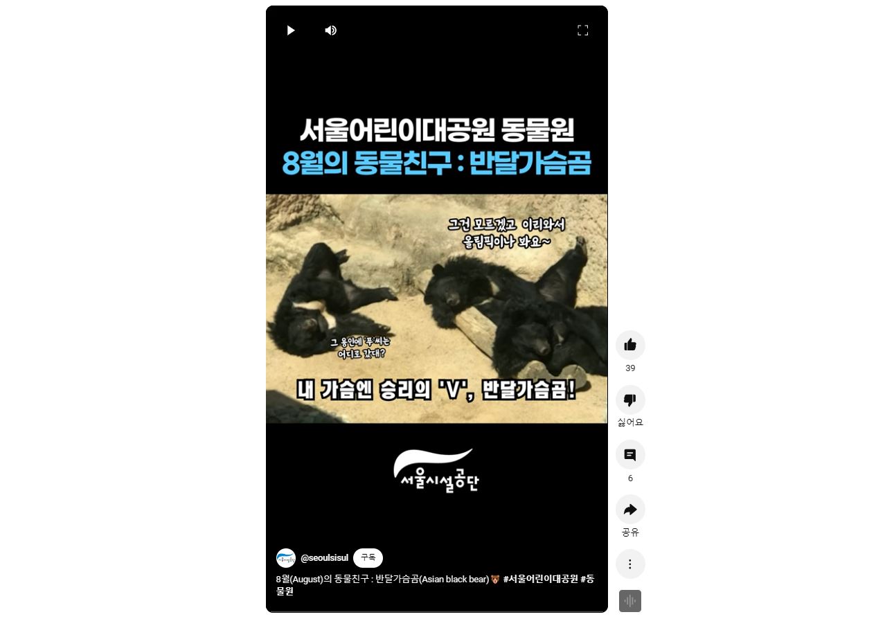 8월의 동물친구 : 반달가슴곰 사진