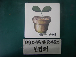 신연배/시청(RR044) 사진