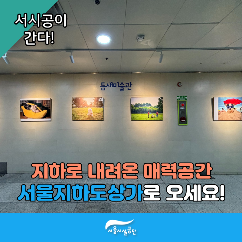 지하로 내려온 매력공간 - 서울지하도상가로 오세요!