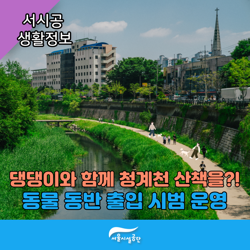 댕댕이와 함께 청계천 산책을?! - 청계천 동물동반 출입 시범 운영