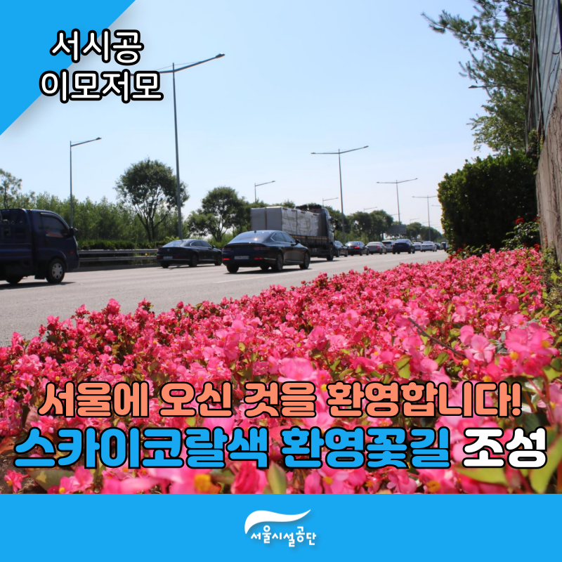 서울에 오신 것을 환영합니다! 스카이코랄색 환영꽃길 조성