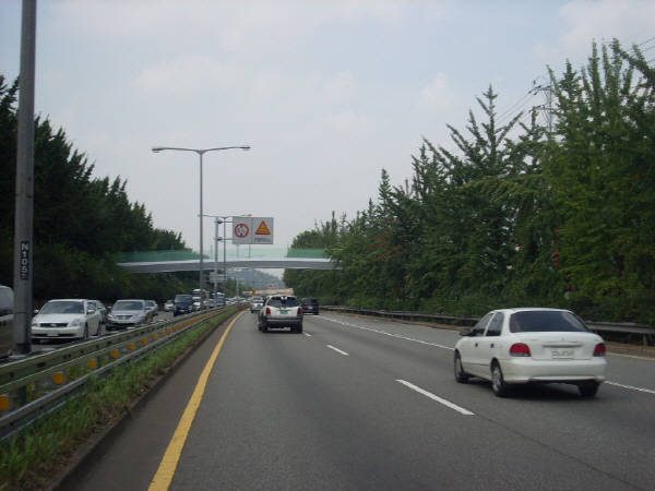 서부간선도로(성산방향) 광명교 지난 320M 사진